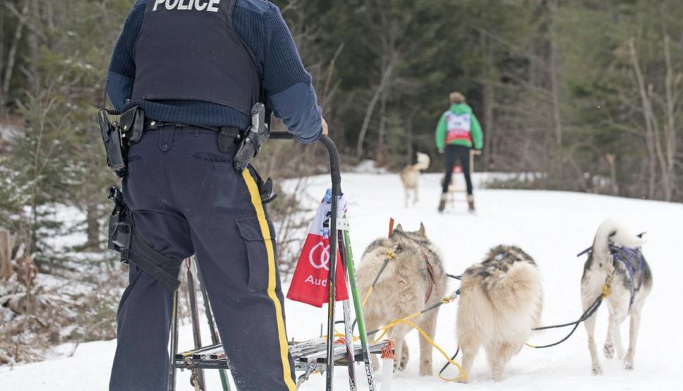 An RCMP officer’s sled-pulling huskies are helping him forge connections with young people throughout the West Hants area