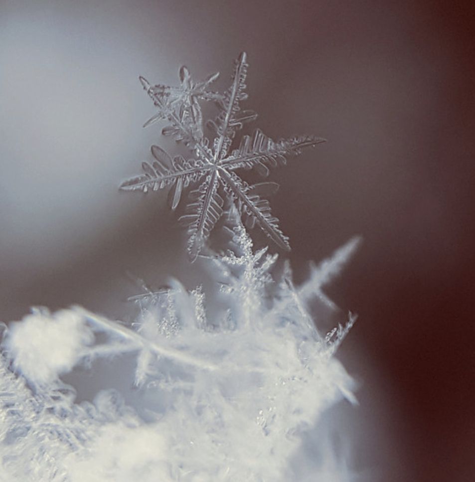 Why do snowflakes have six sides?