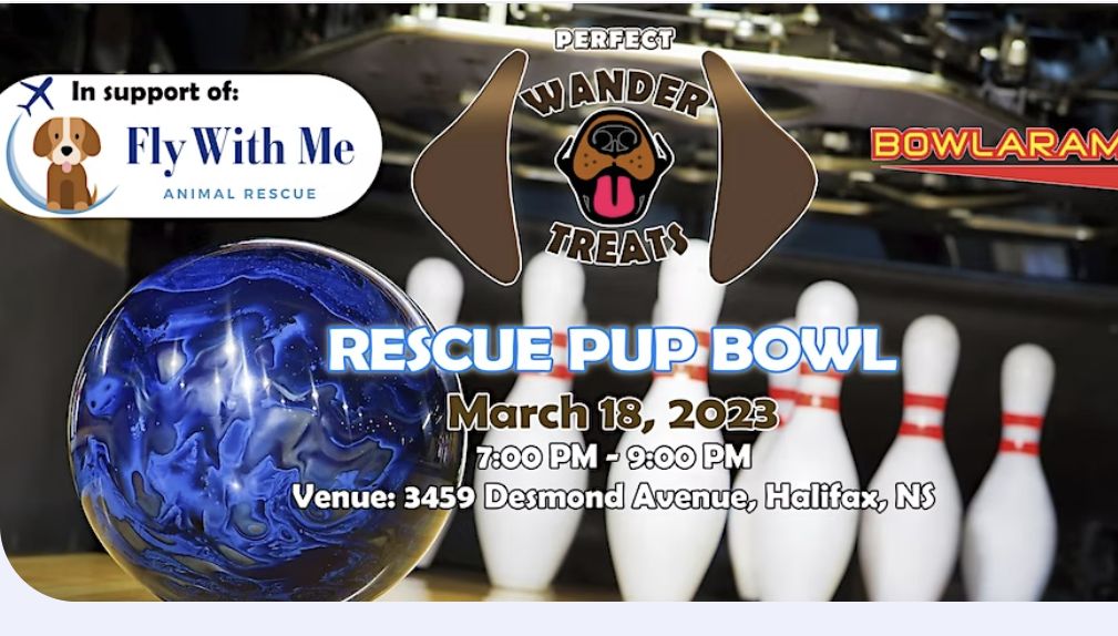 Perfect Wander Treats - Rescue Pup Bowl Fundraiser 
