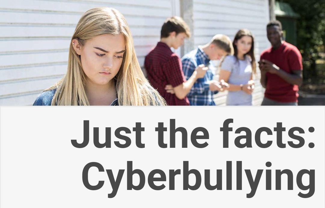 Just the facts: Cyberbullying