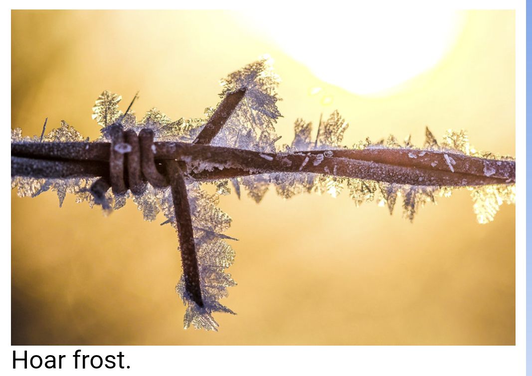 Hoar Frost versus Rime Ice