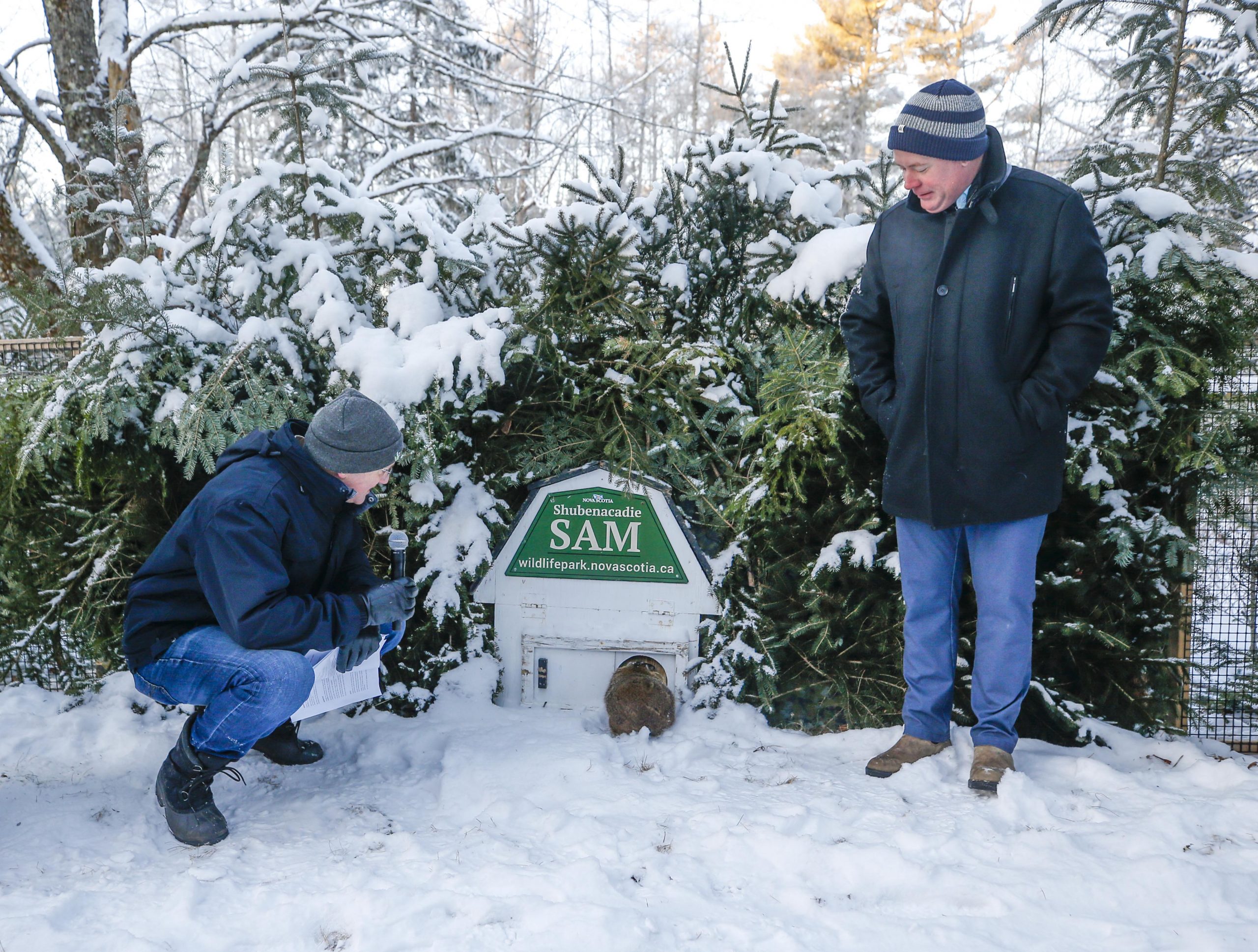Longer winter predicted on Groundhog Day