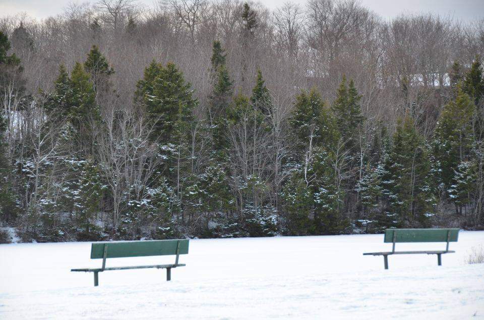 Storm impacts on municipal services – March 2