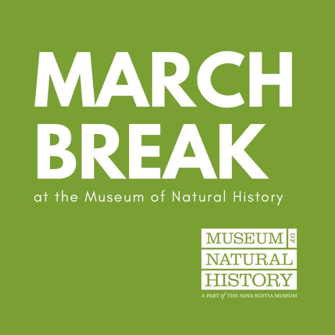 Someone posting as the Museum is claiming that people have won a contest and is sending out links to claim a prize