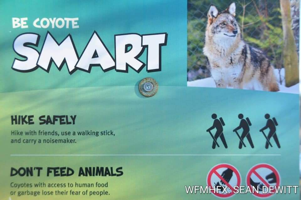 Be Coyote Smart