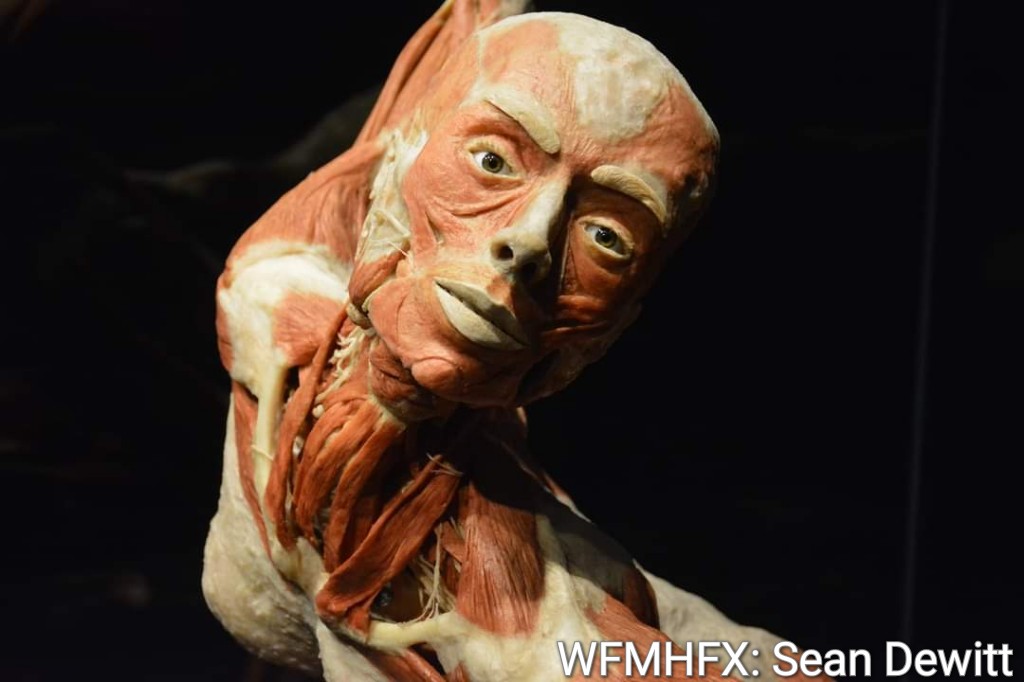 April is a big month at your Museum of Natural History!