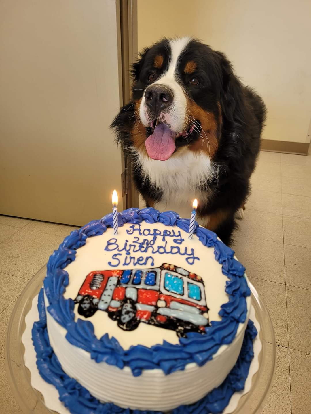 Happy birthday, Siren!