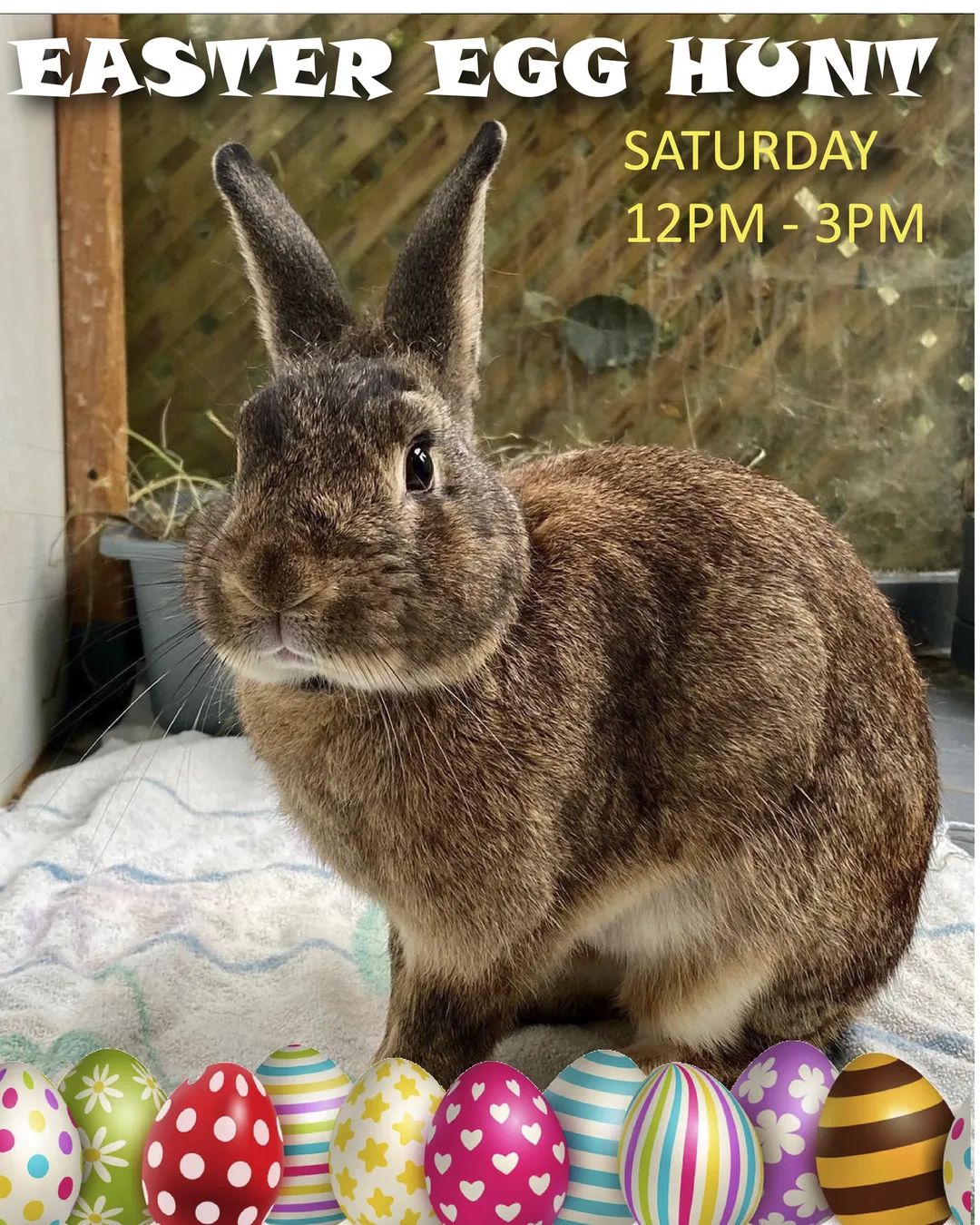 Fun event via Hope for Wildlife