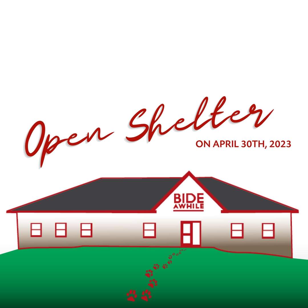 On April 30th Bide Awhile will be taking part in National Adopt a Shelter Pet Day and hosting an Open Shelter