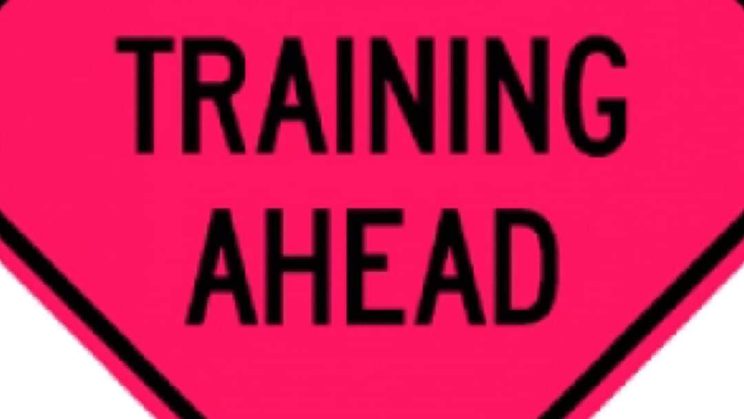 HSAR members are currently engaged in a training exercise in Terrence Bay
