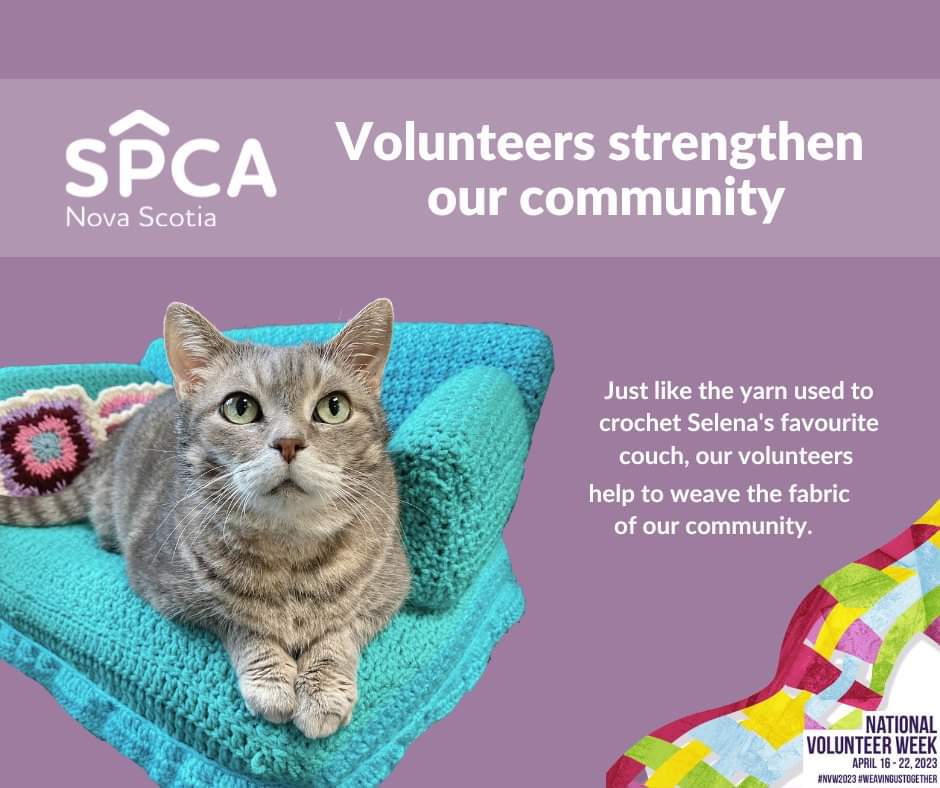 Our SPCA volunteers are a special breed.