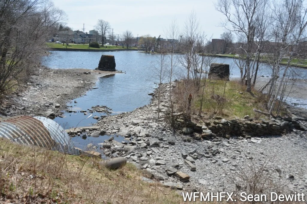 Dry conditions at Sullivan’s Pond