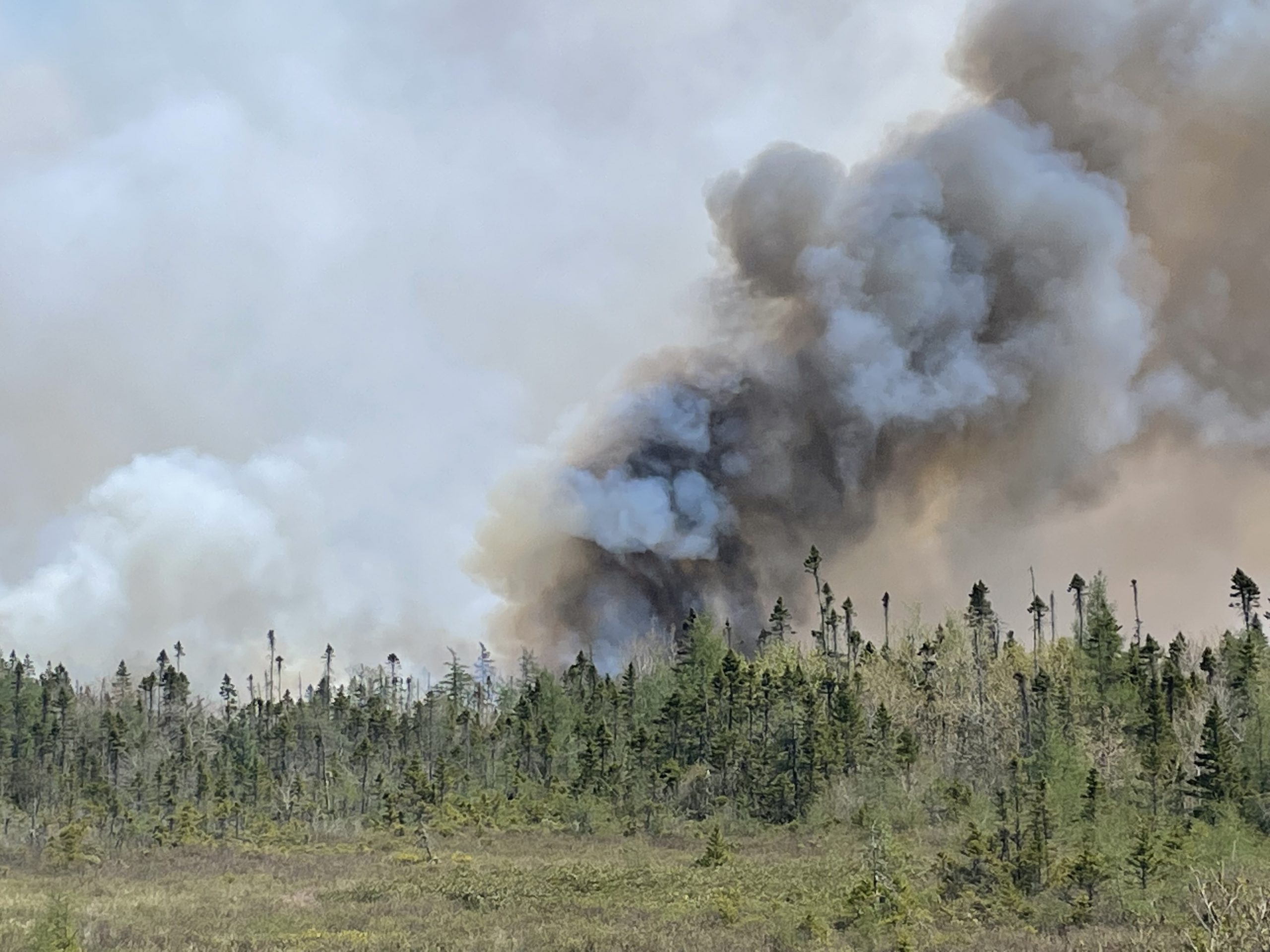 Update on Wildfires in Halifax Regional Municipality and Shelburne, Yarmouth Counties