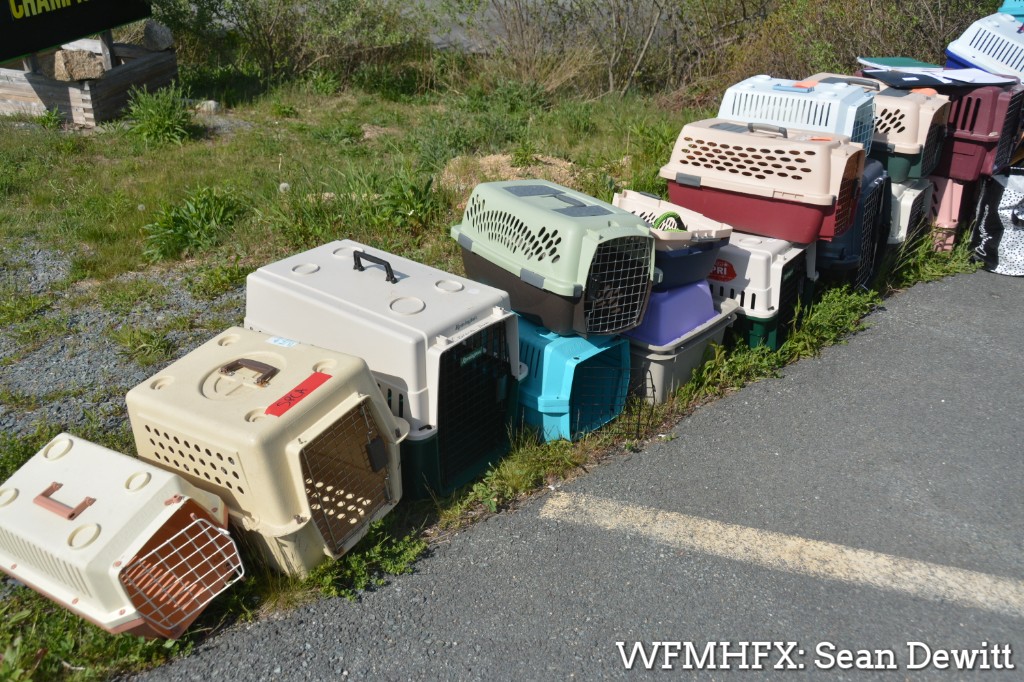 A Facebook page has been set up focusing on Tantallon Fire lost pets