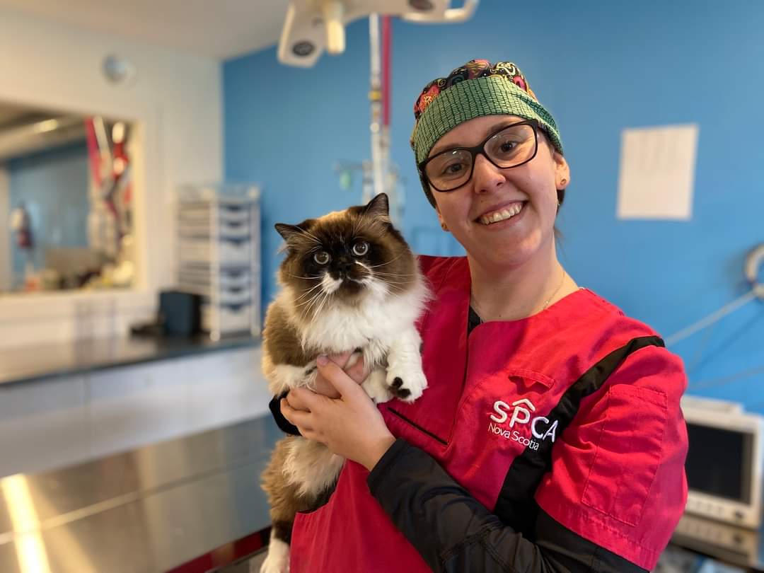 The SPCA Veterinary Hospital is having a special parasite prevention promotion on May 12th
