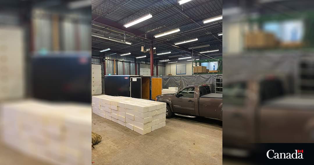 Fishery officers arrested an individual and seized a truck, trailer, $15,792 and 113 kg of elver worth approximately $500,000