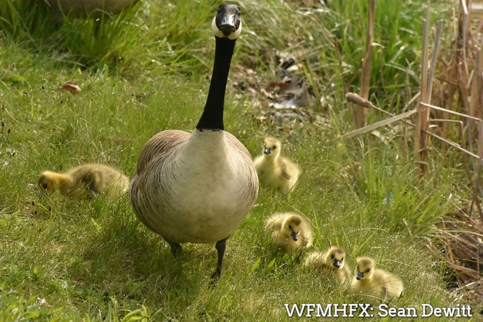 Happy mothers day!