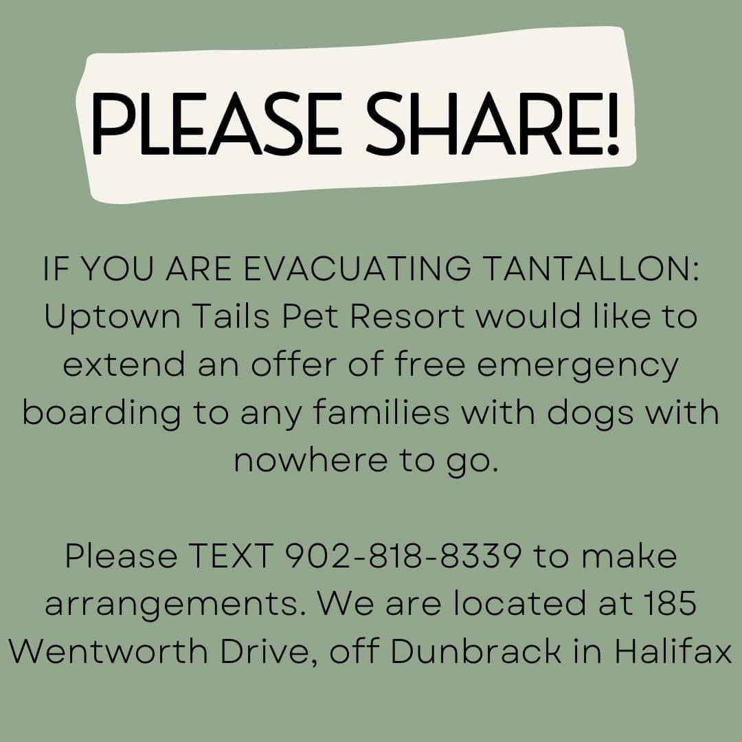 Uptown Tails Pet Resort would like to extend an offer of free emergency boarding to any families with dogs with nowhere to go