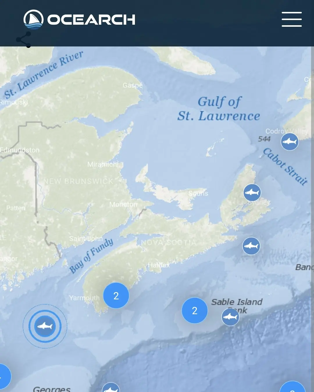 Tracking sharks with Ocearch