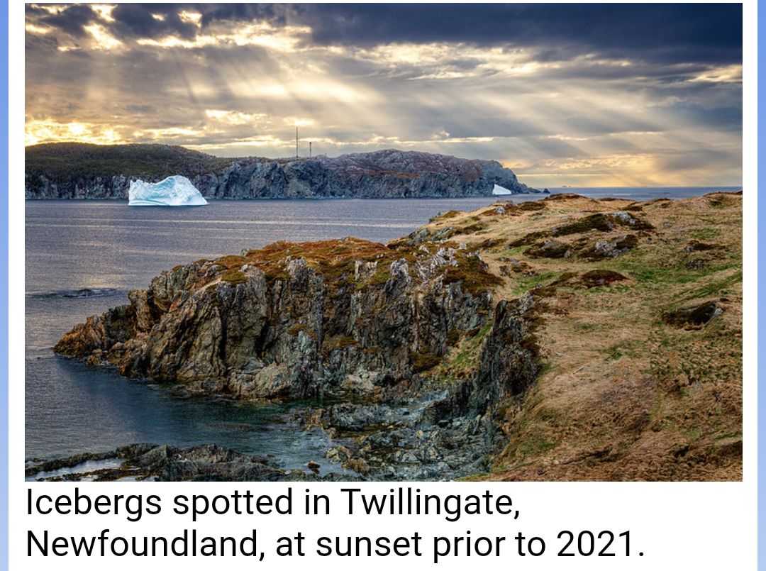 The year of the missing icebergs