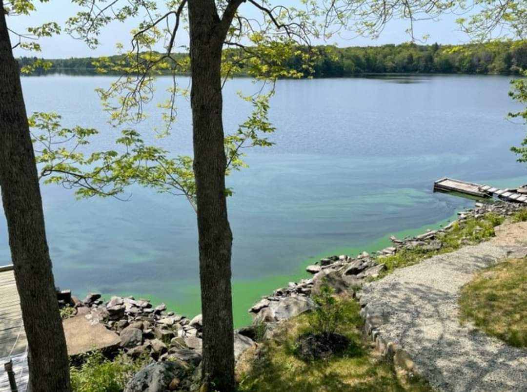 There have been reports of blue-green algae at the following locations in Yarmouth County