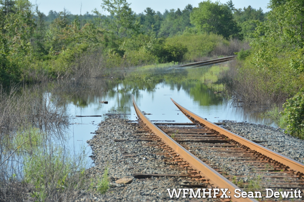 Municipal update on storm impacts – July 24, 5:30 p.m. 