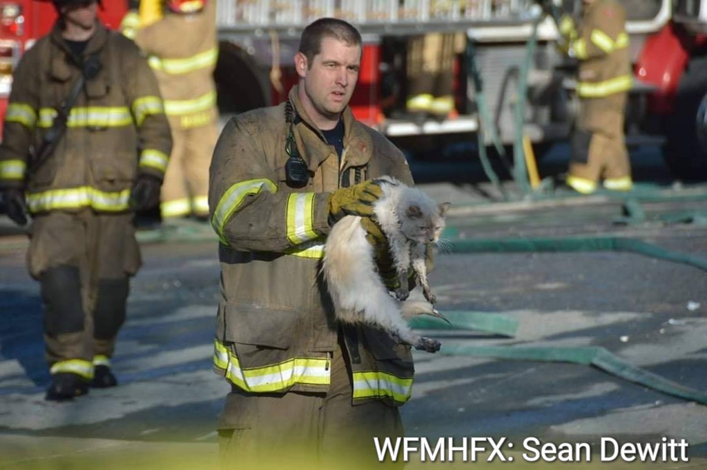 Repost - Consider your pets when planning for emergencies.