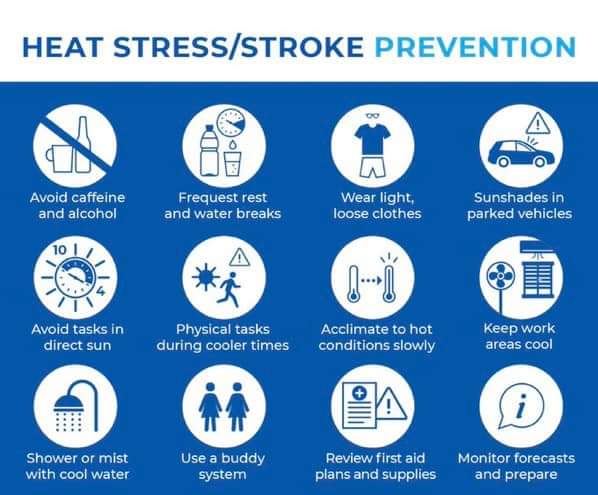 On hot and humid days like today, it’s best to try to remain indoors in an air conditioned place, if possible