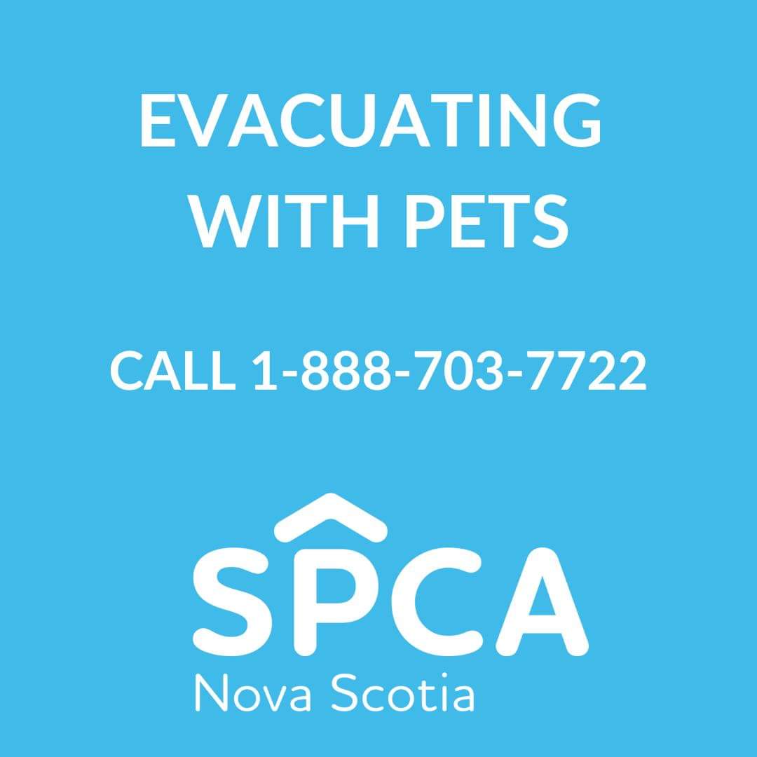 Please be safe, and be prepared to evacuate with your pets