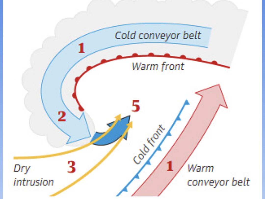 What are sting jets?