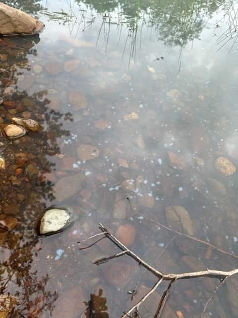 There has been a report of blue-green algae at the following location