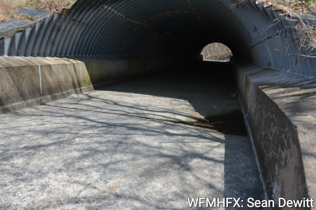 The Halifax Regional Municipality will be lowering the Lake Banook dam to prepare for the rain expected this evening