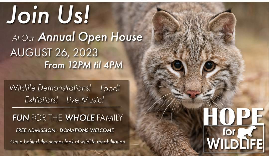 Hope for Wildlife'next open house will be held on August 26th 2023 from 12:00PM to 4:00PM!