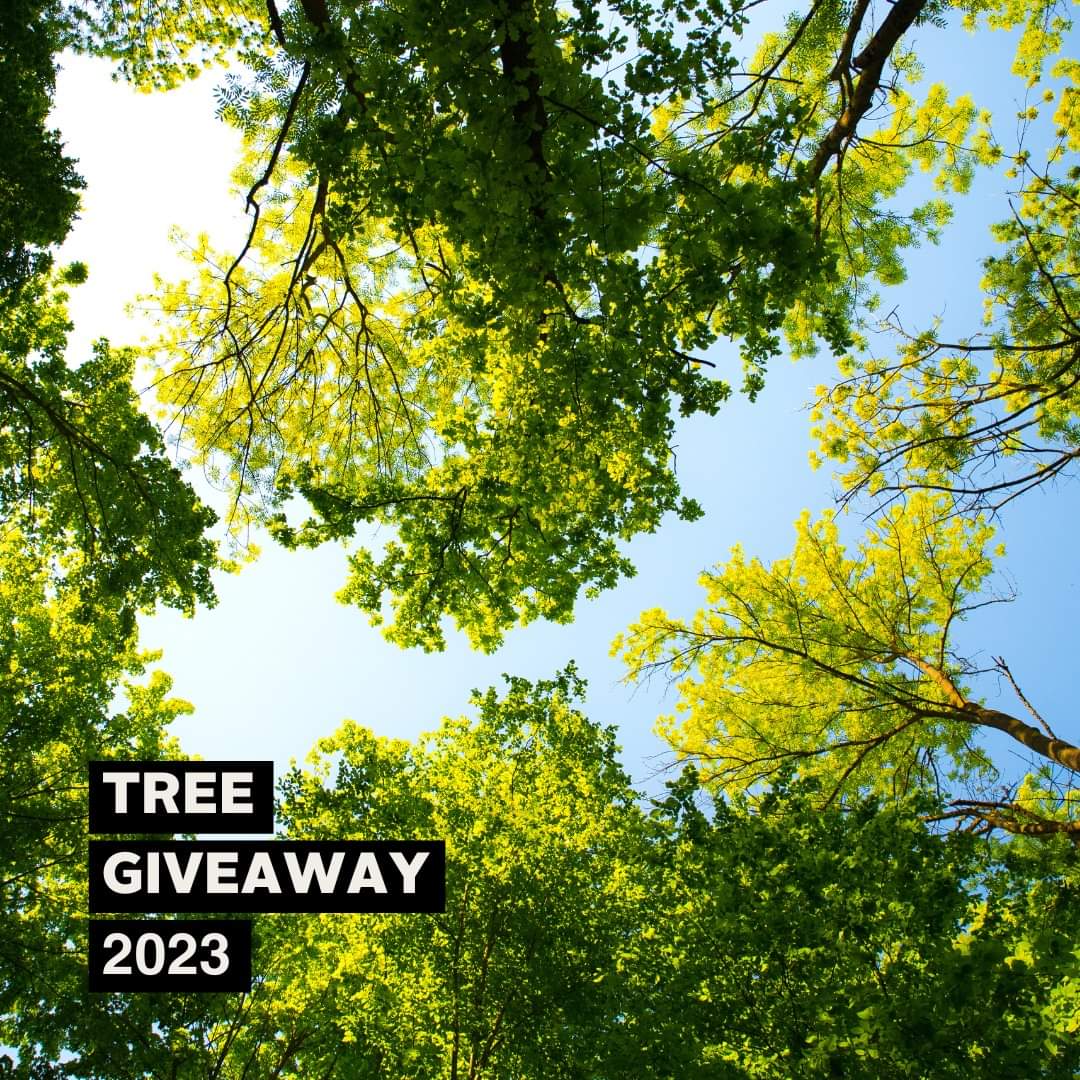 Municipality hosts tree giveaway event
