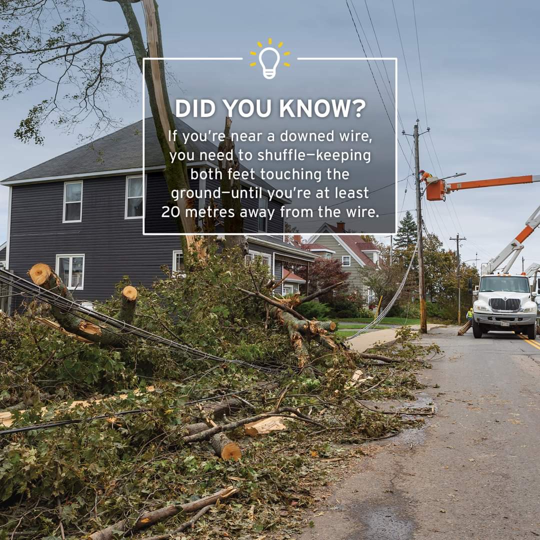 Every year, Nova Scotians make dangerous contact with powerlines