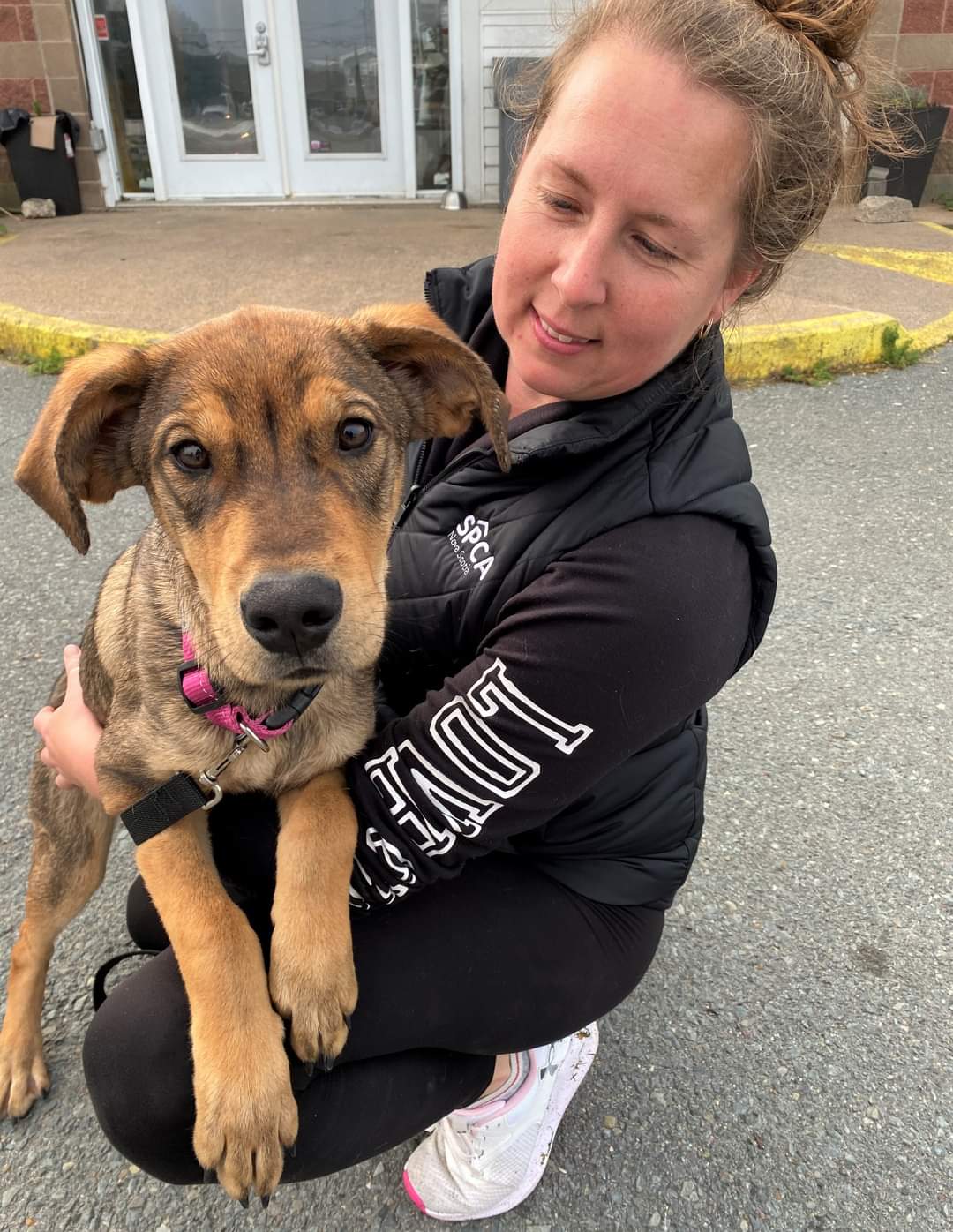 NS SPCA - 16 puppies and dogs who fled wildfires in the Northwest Territories need your help! 