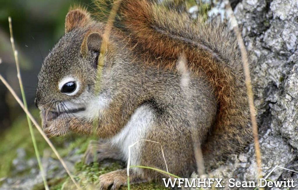Nova Scotia's provincial and wildlife parks are closing because of predicted severe weather from hurricane Lee