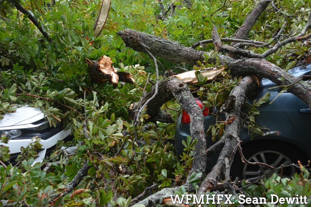 What do hurricane categories mean?