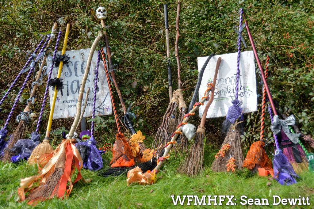 A coven of sea has are putting a spell on onlookers at Shubie Park as they break into witch dancing at the Witches Picnic