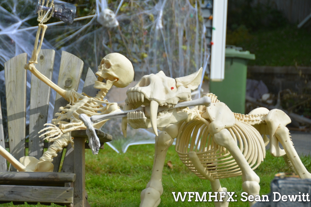 It'll chill your bones on Glenwood Ave in Dartmouth!
