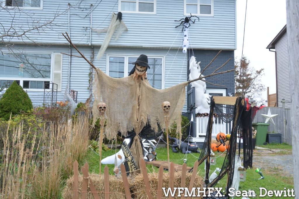 Bewitched in Cow Bay