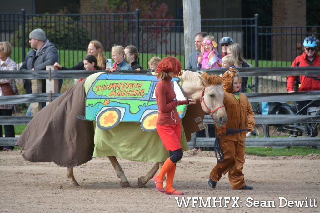 The Halifax Lancers delighted the crowd with a Halloween costume party horse show today