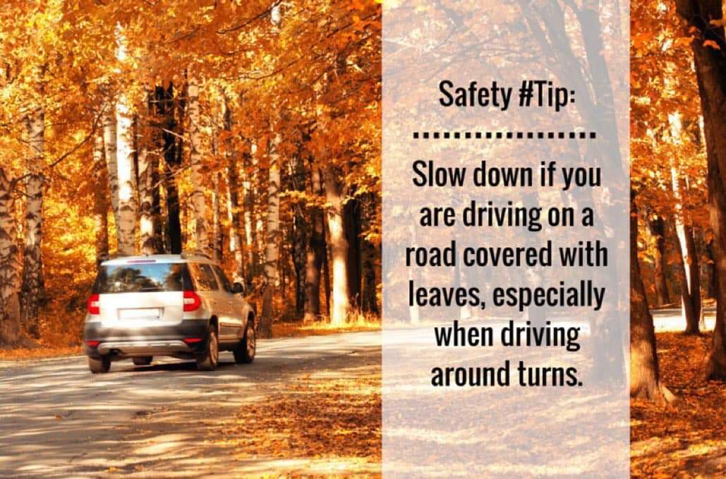 SAFETY TIPS FOR DRIVING ON WET LEAVES
