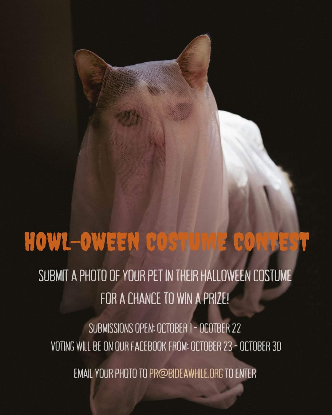 Lara the cat-ghost would like to know if you've entered our Howl-oween Costume Contest yet?