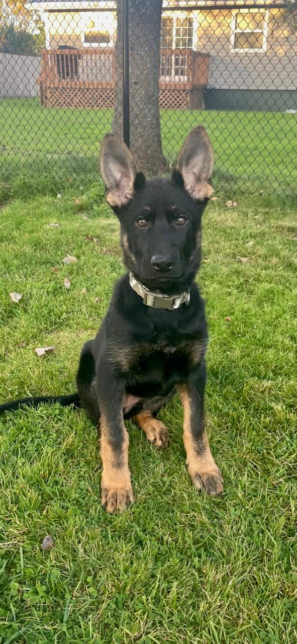 Hi, Nova Scotia! Meet Salty!