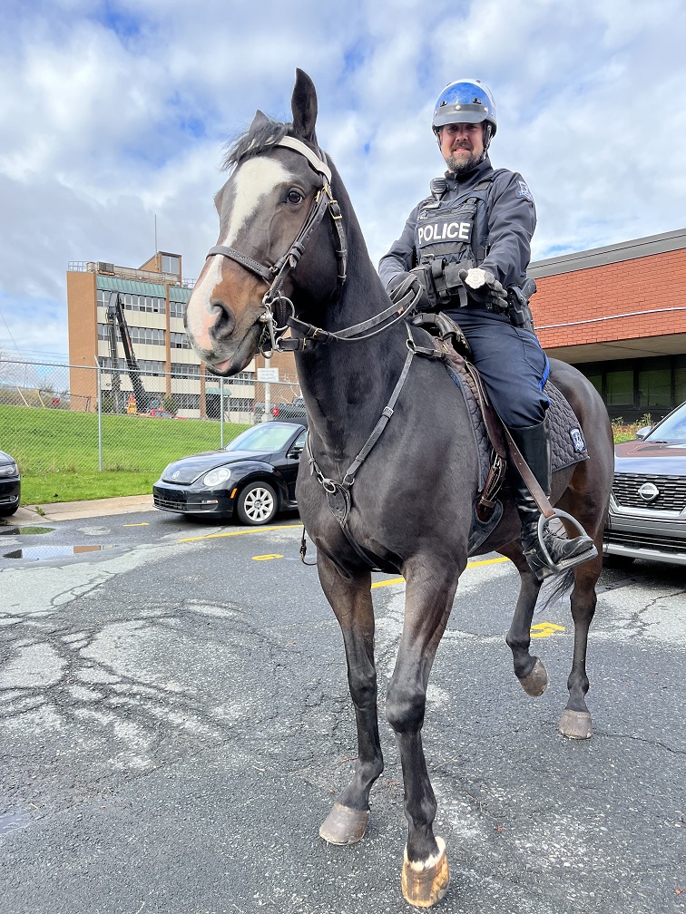Swearing-in of Police Horse Jewelz, Police Service Dogs Cain and Kron, and celebrating the retirement of Police Service Dog Casey