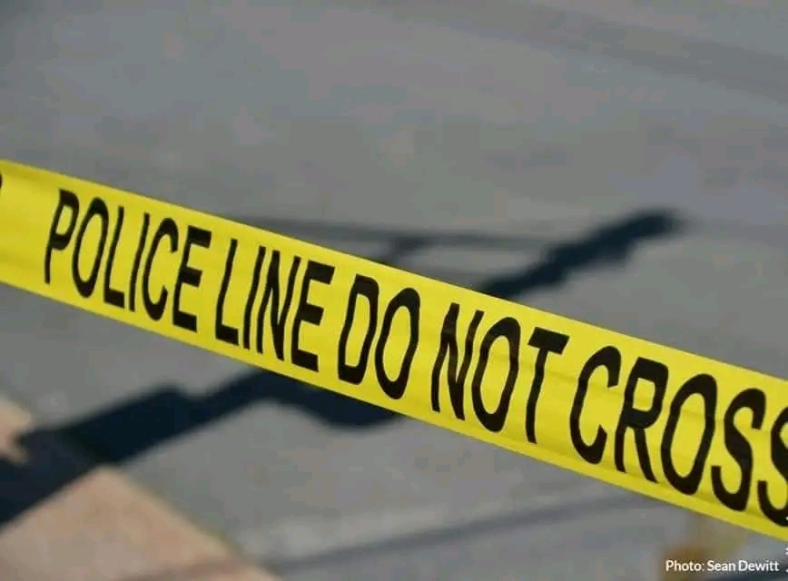 Police are investigating human remains that were found in Halifax