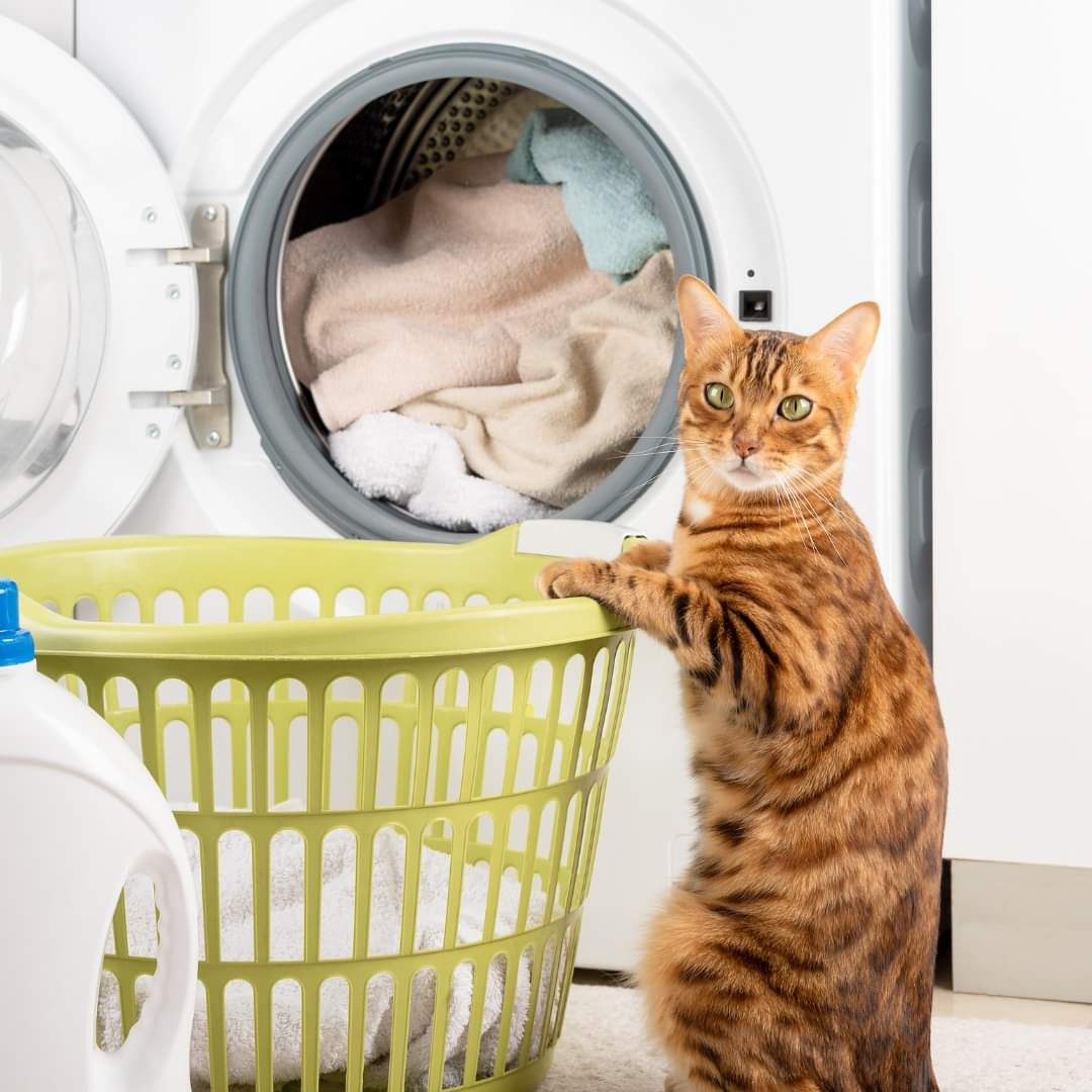 Oh no! We are in need of a washer!