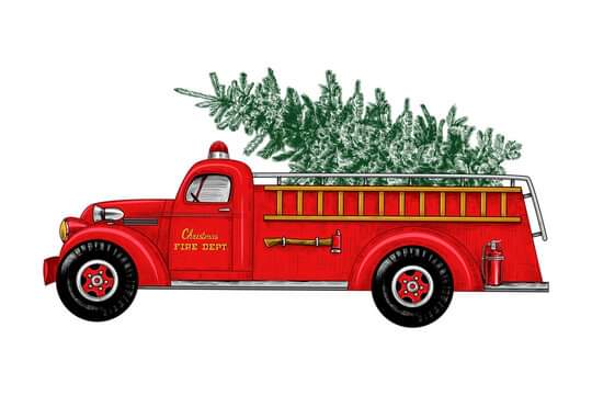 Christmas Trees are on the way!