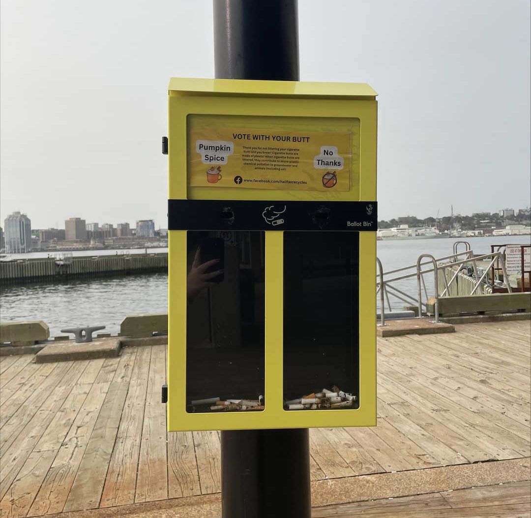 You may have noticed these cigarette butt bins popping up around the municipality